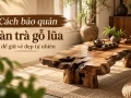 Cách bảo quản bàn trà gỗ lũa để giữ vẻ đẹp tự nhiên