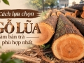 Cách lựa chọn gỗ lũa làm bàn trà phù hợp nhất