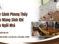 Cây Cảnh Phong Thủy Đẹp Mang Sinh Khí Cho Ngôi Nhà