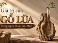 Giá trị của gỗ lũa trong nghệ thuật nội thất