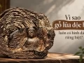 Vì Sao Gỗ Lũa Độc Bản Luôn Có Hình Dáng Riêng Biệt?