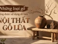 Những loại gỗ thường được sử dụng để làm nội thất gỗ lũa