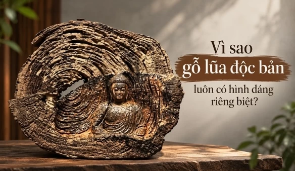 Vì Sao Gỗ Lũa Độc Bản Luôn Có Hình Dáng Riêng Biệt?