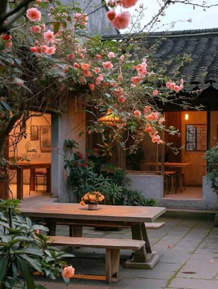 Bàn trà đạo ngồi sân vườn