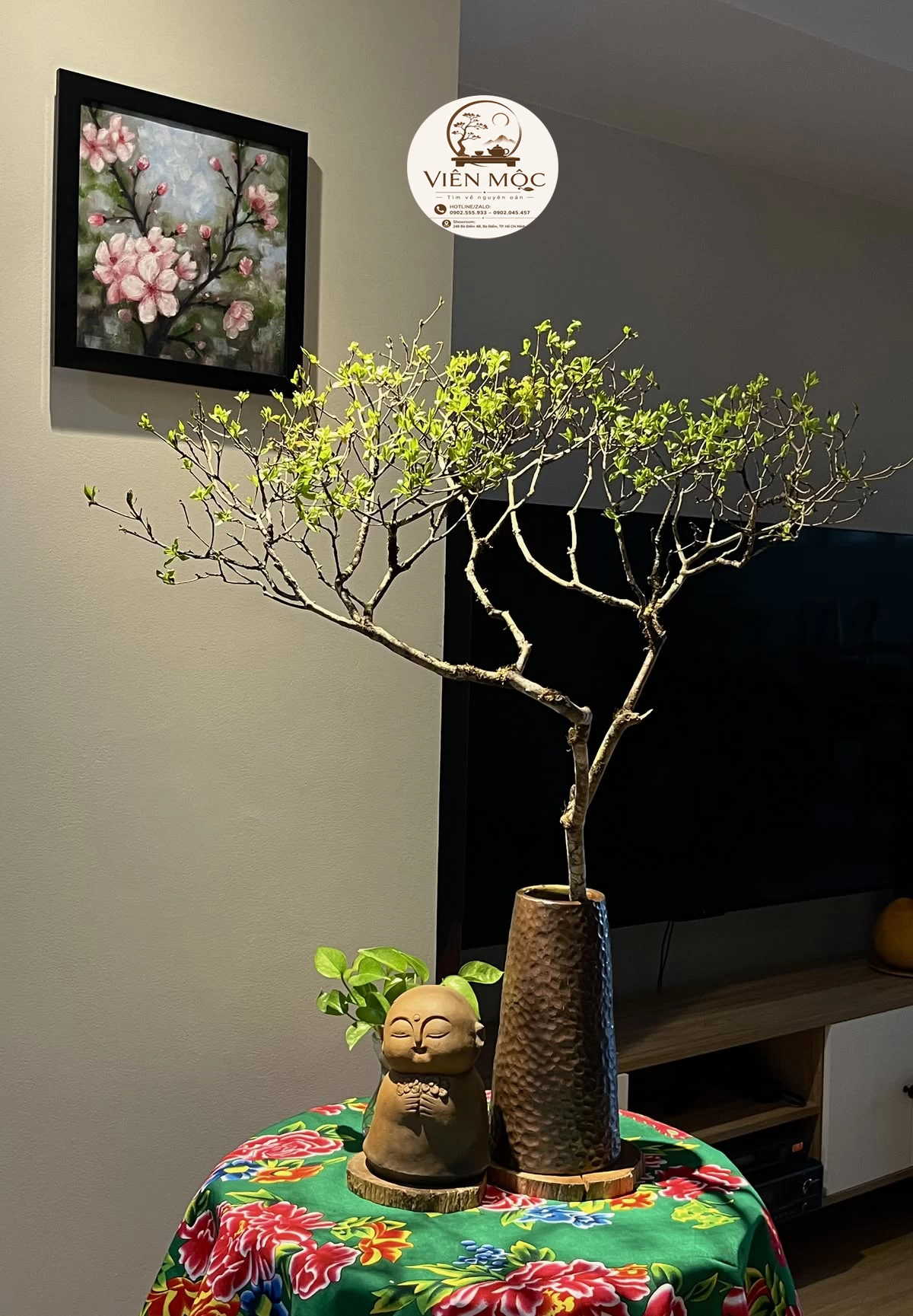 Cây muội hồng phong thủy 