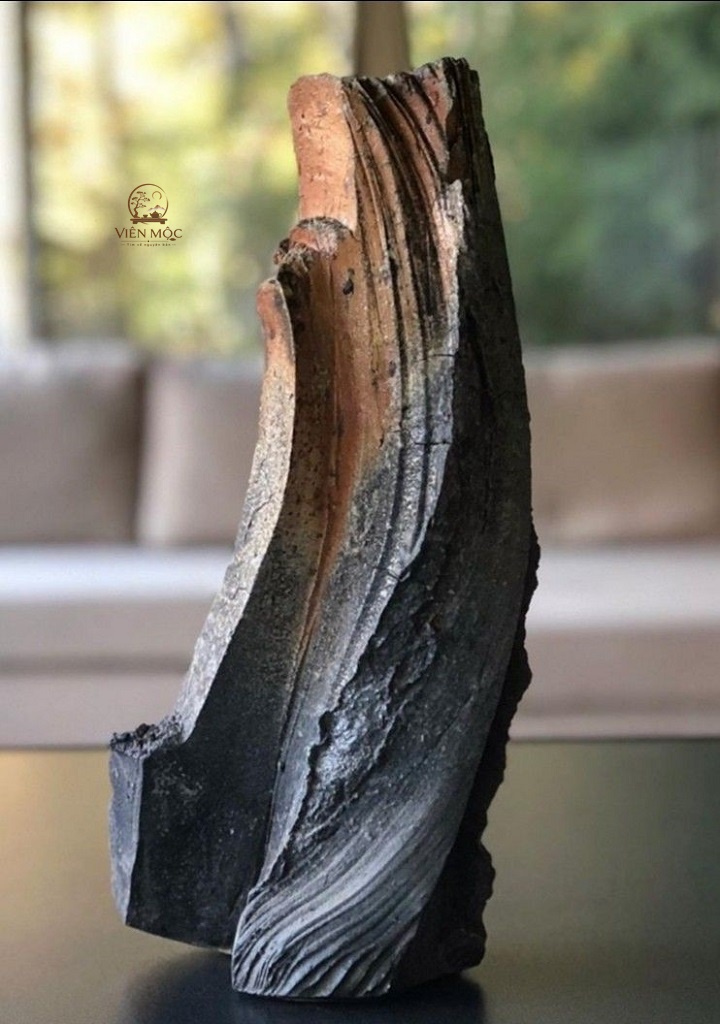 Tìm hiểu về giá trị của gỗ lũa