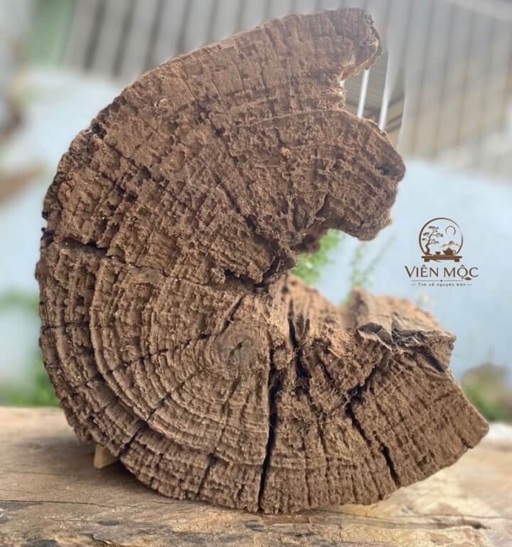 Vẻ đẹp đầy nghệ thuật của dòng lũa