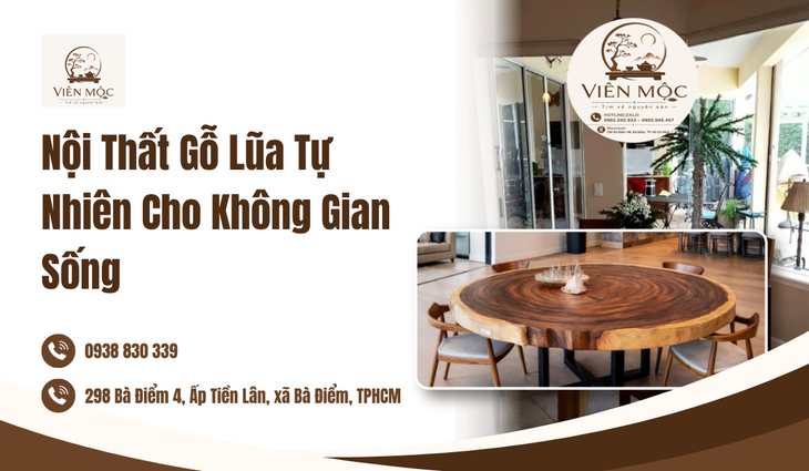 Sức Hút Kỳ Diệu Từ Nội Thất Gỗ Lũa Tự Nhiên Trong Không Gian Sống